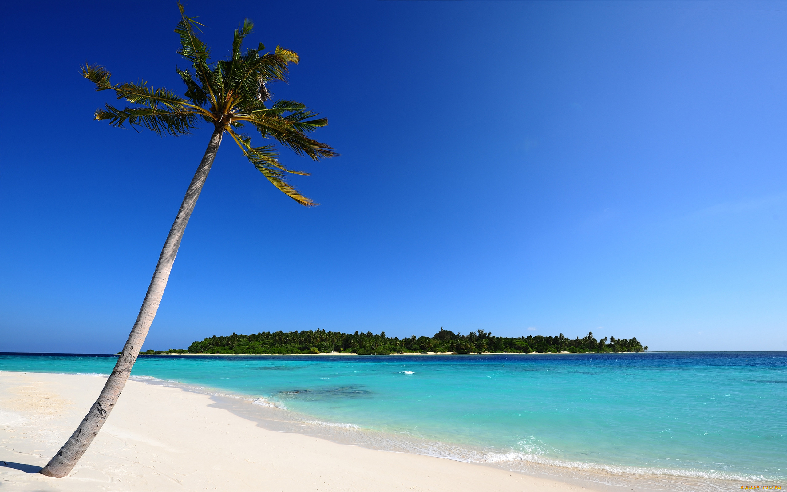 beach, , , 